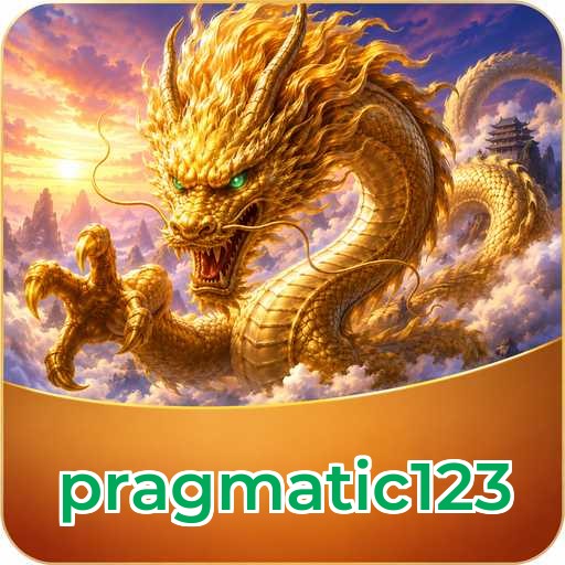 App Information pragmatic123